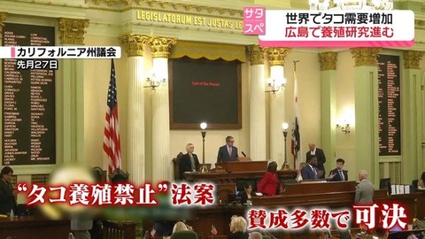 【やりたい放題】タコ養殖禁止法、アメリカで成立…なぜなの？