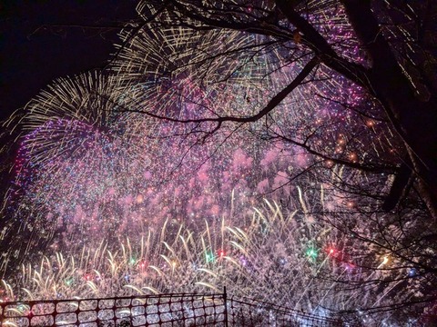 【夏の花火】茨城：第57回常総きぬ川花火フェスティバル: 見所と楽しみ方の完全ガイド「2024年9月21日（土）午後6時プロローグ花火、6時30分打上開始」