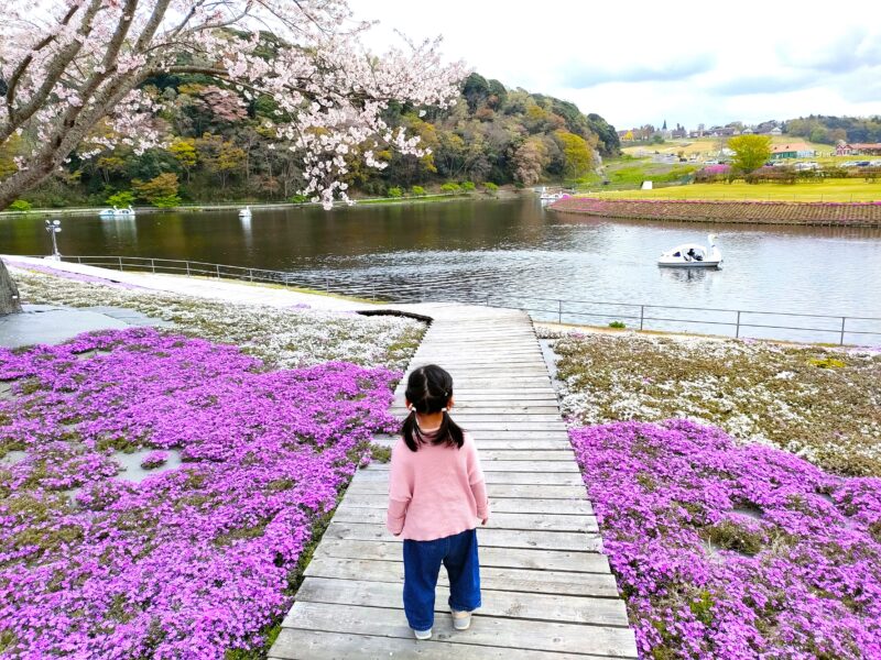 春本番到来！東京ドイツ村（千葉ですけど）で花々が見頃を迎える、まるで絵画のような風景を堪能