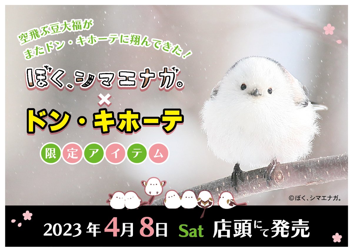 北海道だけに生息する希少な鳥・シマエナガ。× ドン・キホーテ：発売日 2024年4月6日より順次発売
