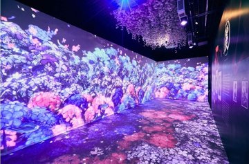 冬を彩る！全国冬のイベント特集2024-2025