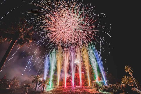 20191229-_DSC0935_edited-1