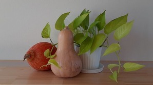 20201029_132423
