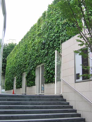 ���ɡݥե��å����ӥ�