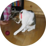 �ɥ�֥�2