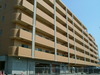 DSCF8887