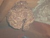 DSC00636