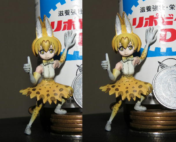 イメージ 7