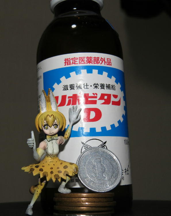 イメージ 6