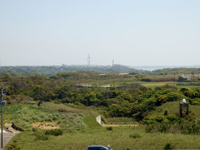 イメージ 16