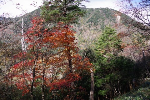 IMGP2601 (カスタム)