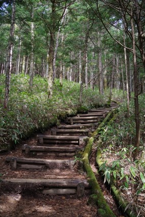 IMGP2587 (カスタム)