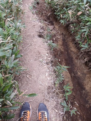 100_0262 (カスタム)