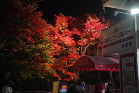 IMGP2934 (カスタム)