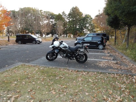 100_0147 (カスタム)