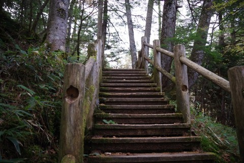 IMGP2636 (カスタム)