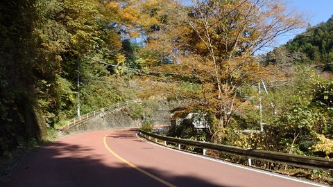 PB080135 (640x360)
