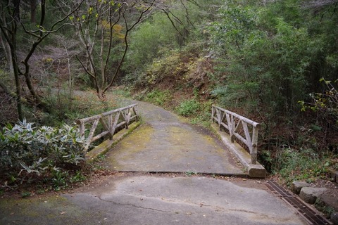 IMGP0290 (640x427)