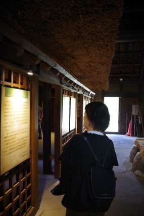 IMGP2488 (カスタム)