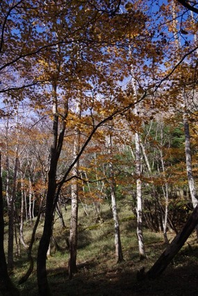 IMGP2619 (カスタム)