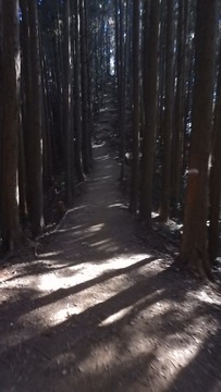 PB080222 (360x640)