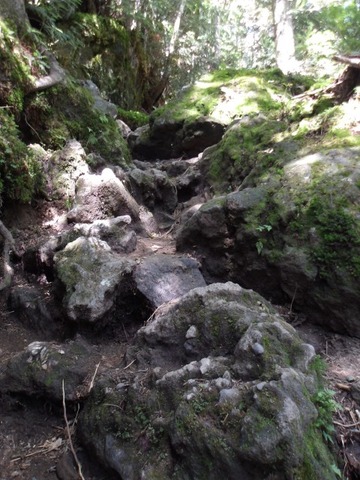 100_0201 (カスタム)