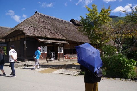 IMGP2439 (カスタム)