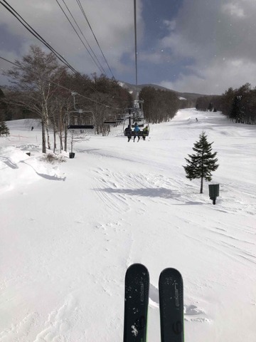 IMG_7441 (カスタム)