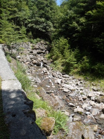 100_0111 (カスタム)