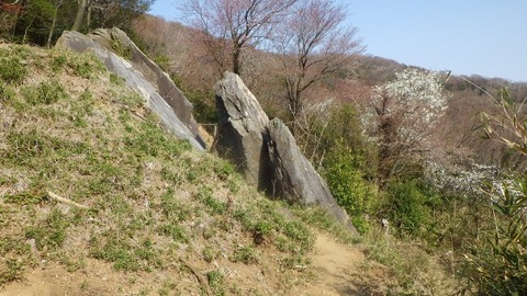IMGP1182 (640x360)