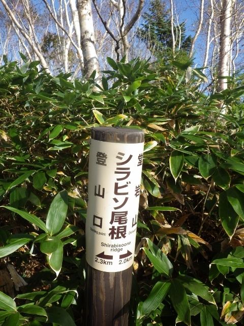 イメージ 7