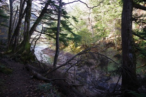 IMGP2625 (カスタム)