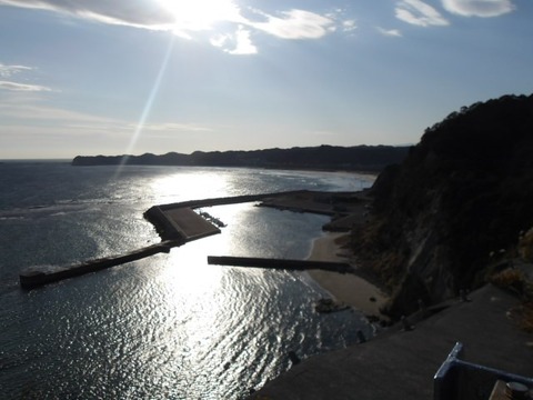 100_0695 (カスタム)