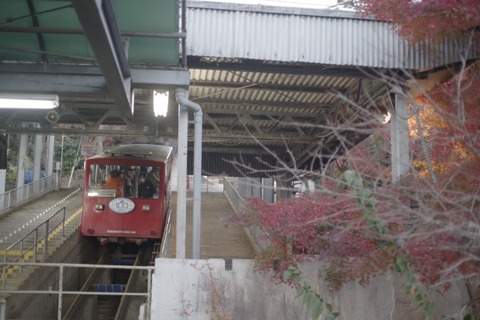 IMGP2831 (カスタム)