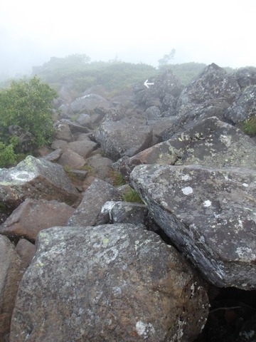 100_0176 (カスタム)