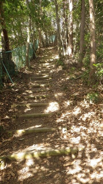 IMGP1057 (360x640)
