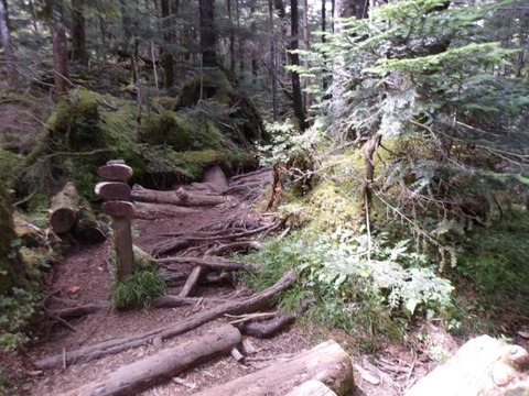 100_0119 (カスタム)