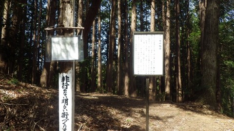 IMGP1075 (640x360)