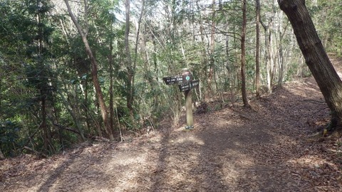 IMGP1079 (640x360)