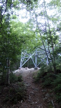 P8050045 (360x640)