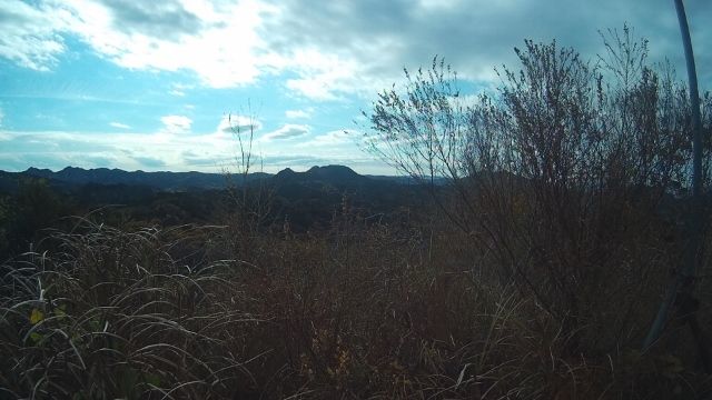 イメージ 32