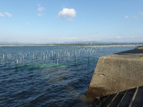 100_0629 (カスタム)