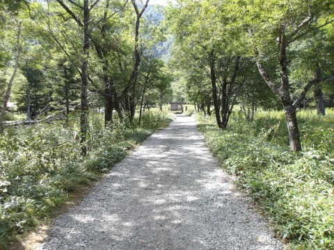 100_0199 (カスタム)