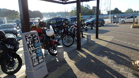 PB080125 (640x360)
