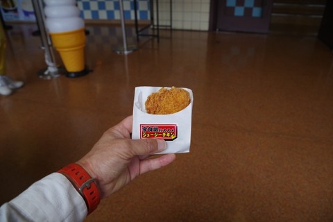 IMGP2334 (カスタム)