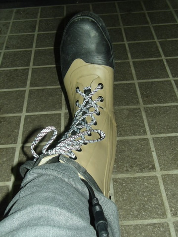 100_0816 - コピー