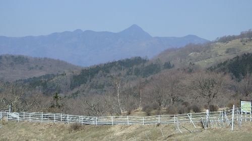 イメージ 40