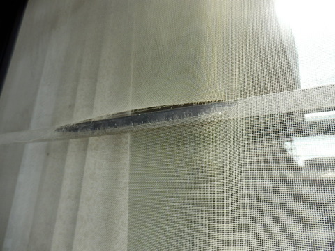 P5120211