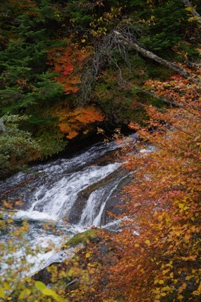 IMGP2684 (カスタム)