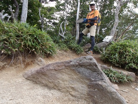 100_0267 (カスタム)